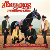 Album Corridos De Caballos Pura Sangre