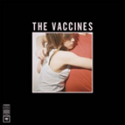 Album What Did You Expect From The Vaccines?