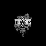 Album Vision Valley