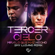 Album Mira Lo Que Has Hecho (Remix) - Single