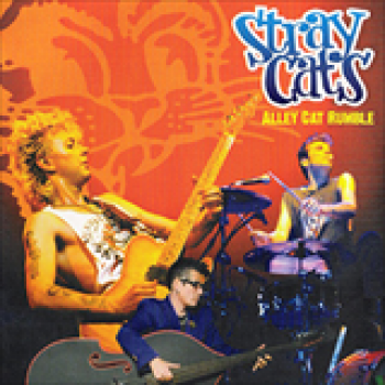 Album Alley Cat Rumble de Stray Cats