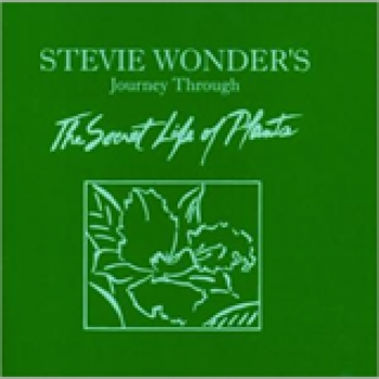 Album Journey Through the Secret Life of Plants de Stevie Wonder