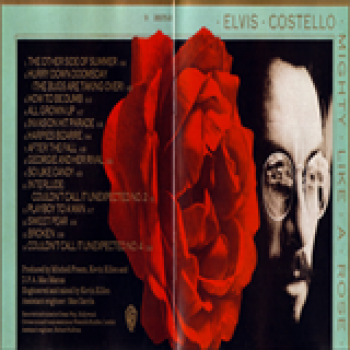 Album Mighty Like a Rose de Elvis Costello