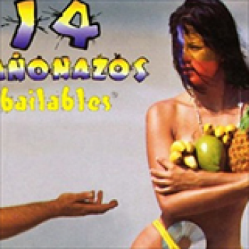 Album 14 Cañonazos Bailables de Joe Arroyo