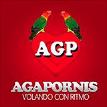 Album Volando Con Ritmo de Agapornis