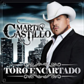 Album Toro Encartado de Martin Castillo