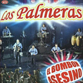 Album El Boom de Los Palmeras