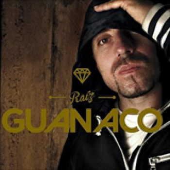 Album Raíz de Guanaco