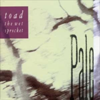 Album Pale de Toad The Wet Sprocket