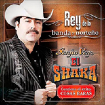 Album Rey De La Banda Y Norteño de Sergio Vega