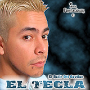 Album El Baile Del Gavilan de El Tecla