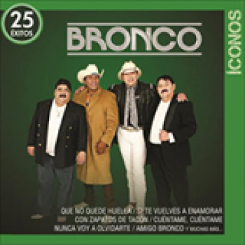 Album Iconos de Bronco