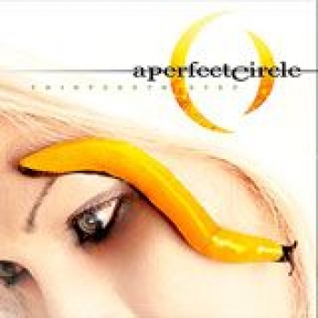 Album Thirteenth Step de A Perfect Circle