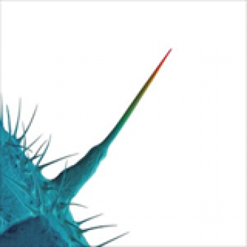 Album And I'll Scratch Yours (Remastered) de Peter Gabriel