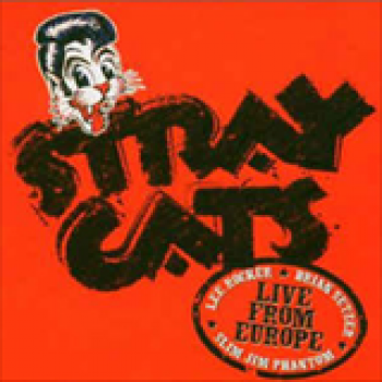 Album Live From Europe Holland de Stray Cats
