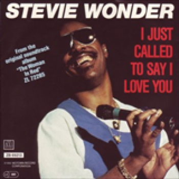 Album I Just Called To Say I Love You de Stevie Wonder
