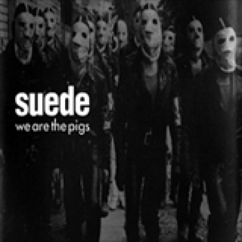 Album We are the Pigs de Suede