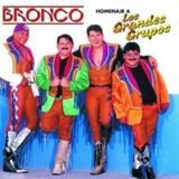 Album Homenaje A Los Grandes Grupos de Bronco