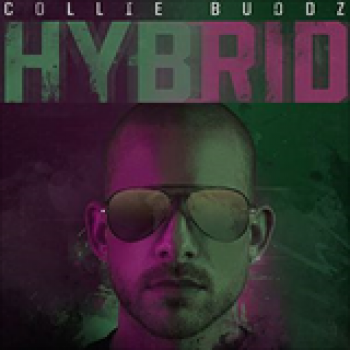 Album Hybrid de Collie Buddz