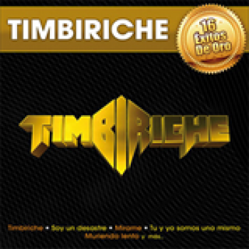 Album 16 Exitos De Oro de Timbiriche
