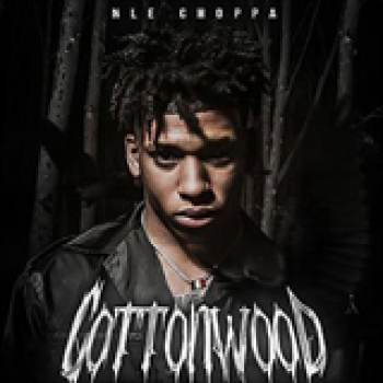 Album Cottonwood de NLE Choppa