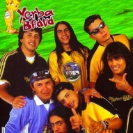 Yerba Brava foto